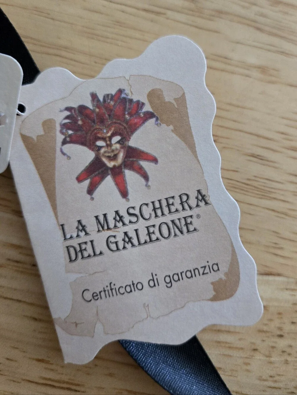Venetian Red Feather Mask